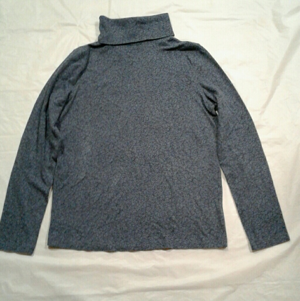 A Liz Claiborne Grey sweater.